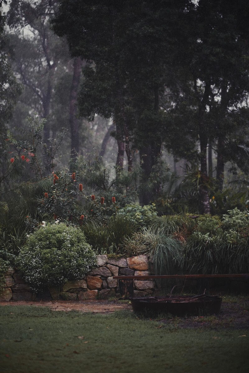 Garden in the rain